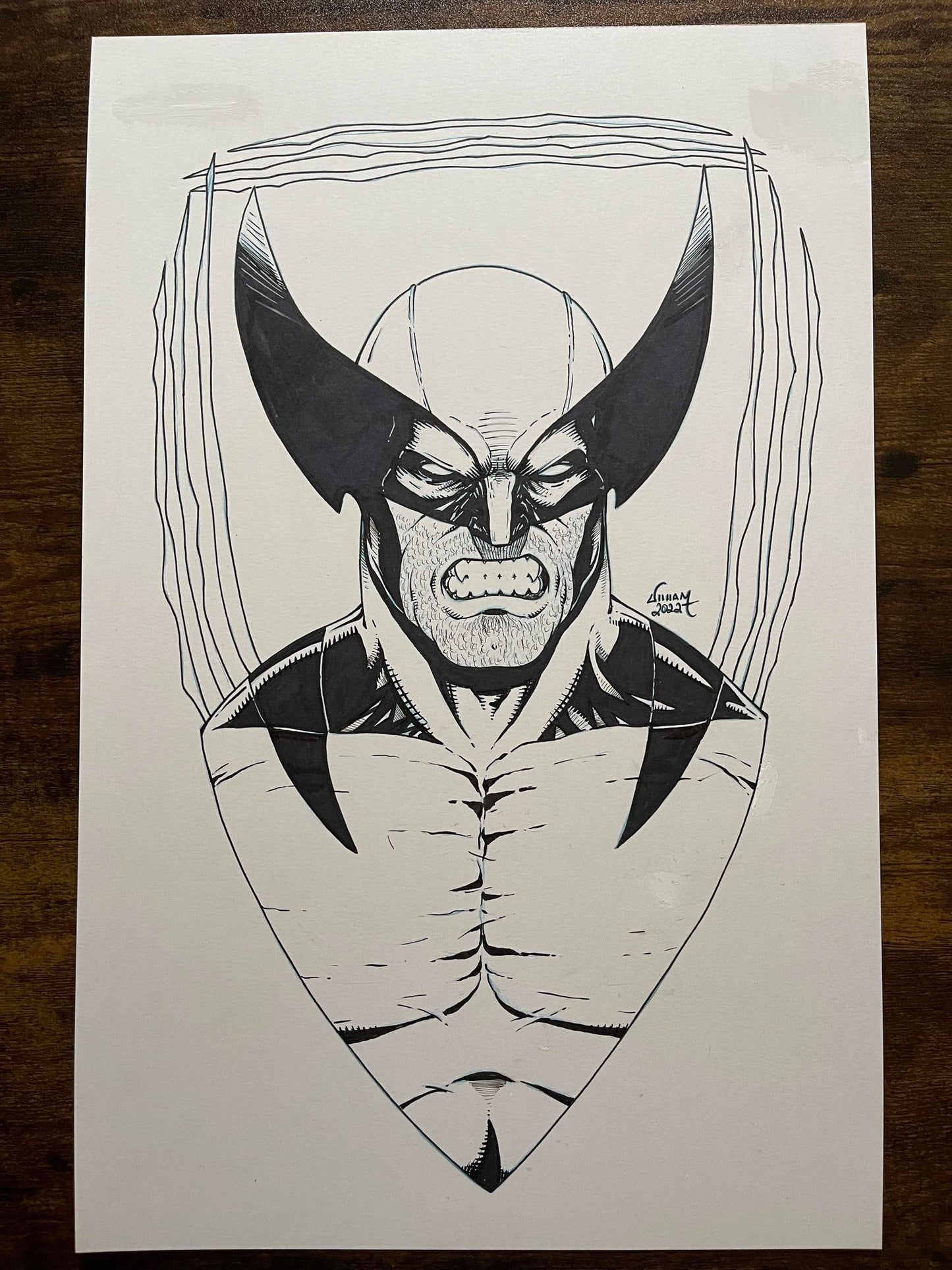 11x17 - Half body Commission in Raw pencils or B&W Ink