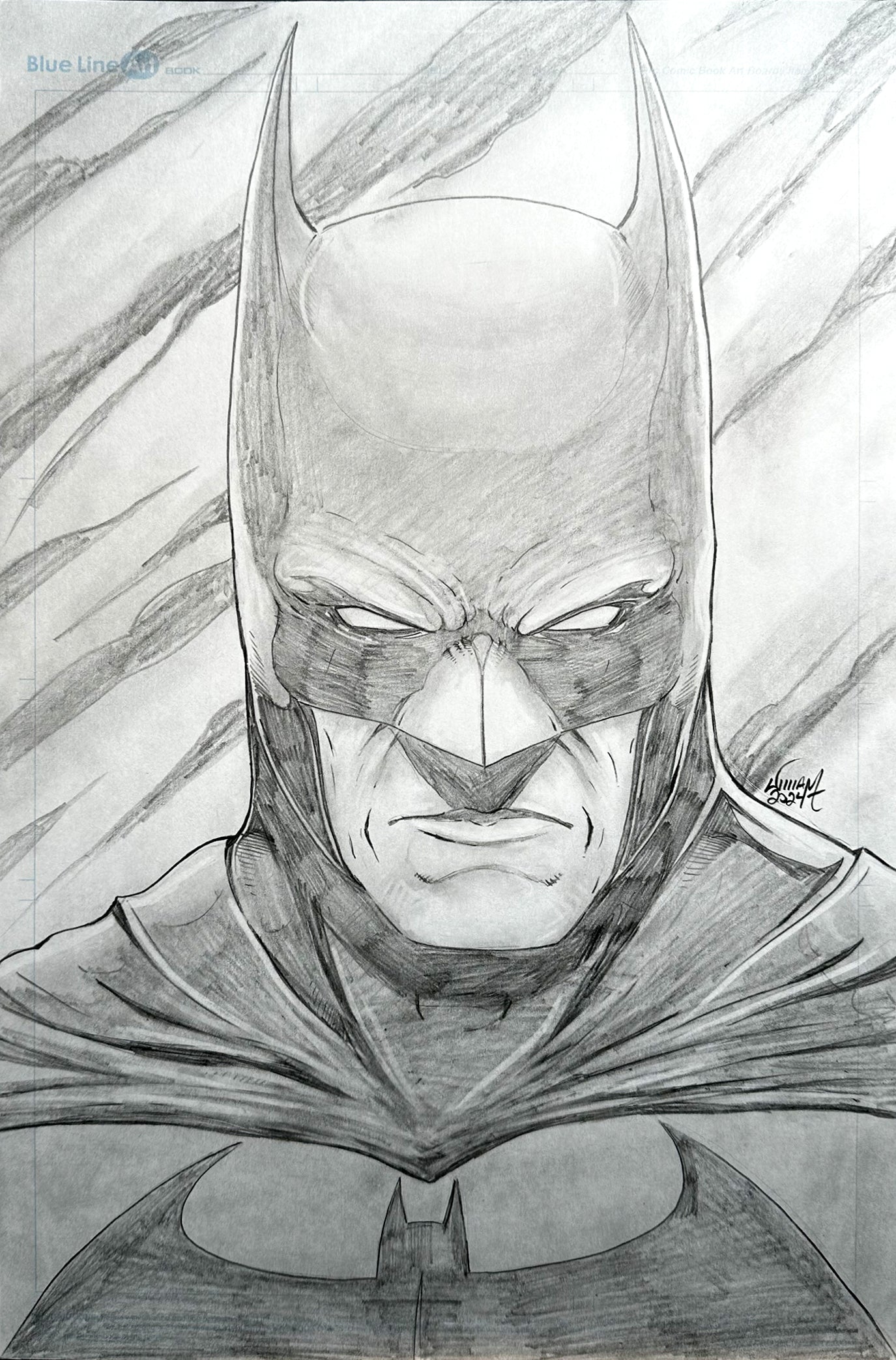 11x17 - Half body Commission in Raw pencils or B&W Ink