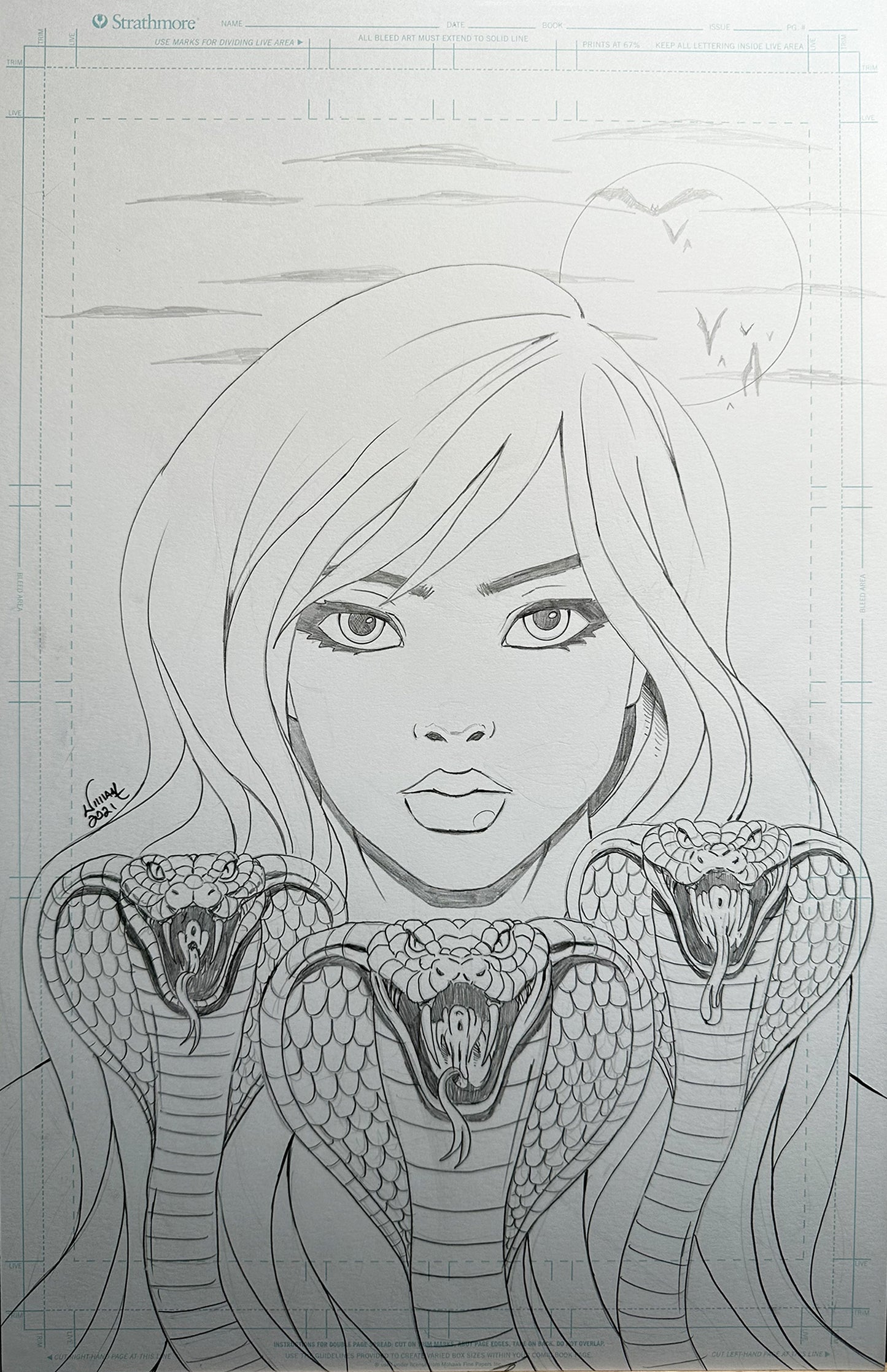 11x17 Queen Cobra - Pencils for Published Cover