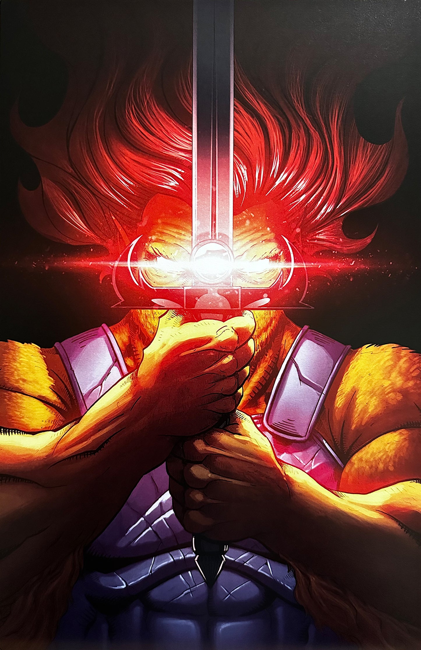 11x17 Lion-O