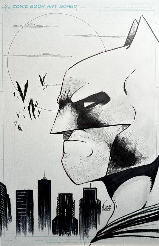 11x17 Dark Knight Profile